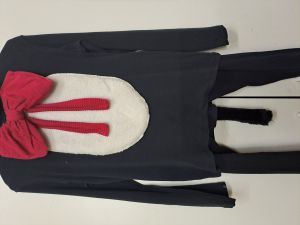 Kids Costumes to Hire - Cat in the Hat - Top & Pants - Age 14